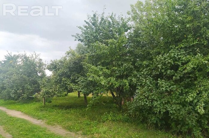 550$ за земельный надел в 30 километрах от МКАД. Подборка дешевых участков в СТ вокруг Минска, которые можно купить без аукциона - REALT.BY