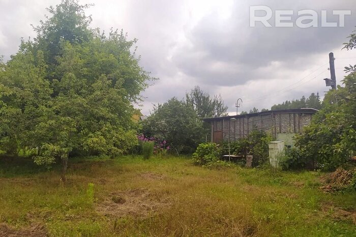 550$ за земельный надел в 30 километрах от МКАД. Подборка дешевых участков в СТ вокруг Минска, которые можно купить без аукциона - REALT.BY