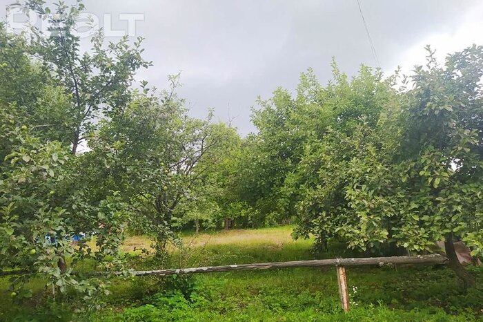 550$ за земельный надел в 30 километрах от МКАД. Подборка дешевых участков в СТ вокруг Минска, которые можно купить без аукциона - REALT.BY