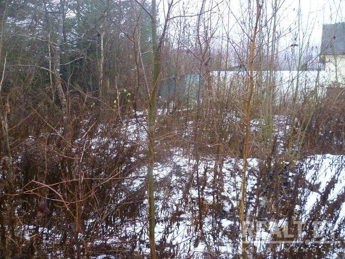 550$ за земельный надел в 30 километрах от МКАД. Подборка дешевых участков в СТ вокруг Минска, которые можно купить без аукциона - REALT.BY