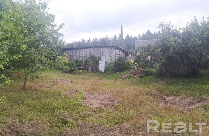 550$ за земельный надел в 30 километрах от МКАД. Подборка дешевых участков в СТ вокруг Минска, которые можно купить без аукциона - REALT.BY