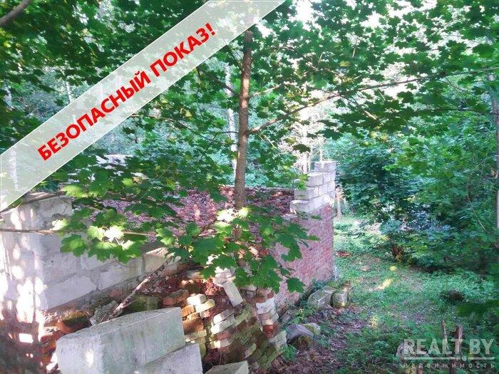 550$ за земельный надел в 30 километрах от МКАД. Подборка дешевых участков в СТ вокруг Минска, которые можно купить без аукциона - REALT.BY