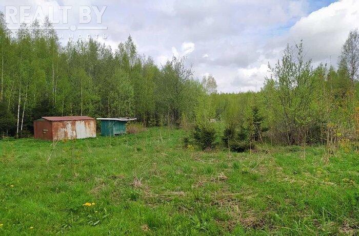 550$ за земельный надел в 30 километрах от МКАД. Подборка дешевых участков в СТ вокруг Минска, которые можно купить без аукциона - REALT.BY