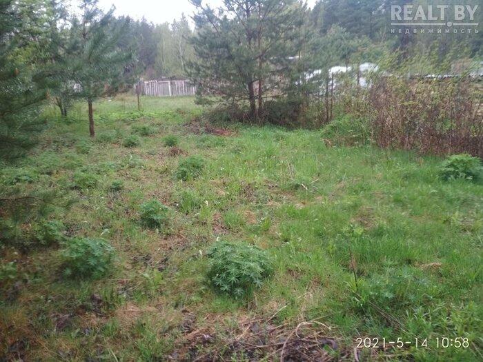 550$ за земельный надел в 30 километрах от МКАД. Подборка дешевых участков в СТ вокруг Минска, которые можно купить без аукциона - REALT.BY