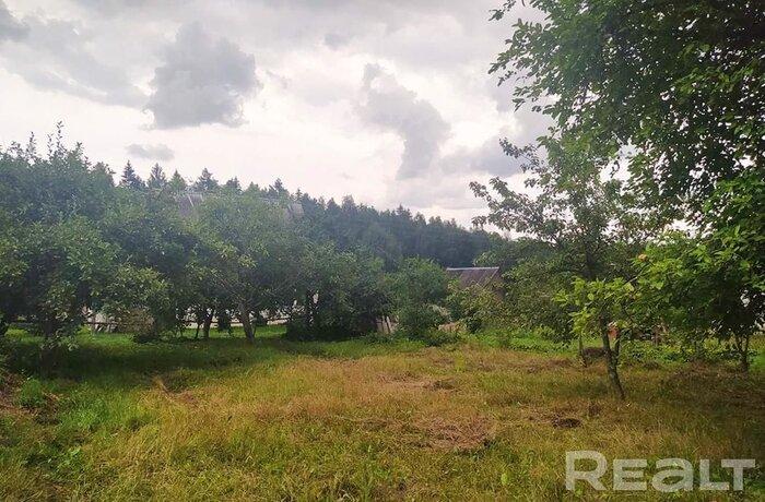 550$ за земельный надел в 30 километрах от МКАД. Подборка дешевых участков в СТ вокруг Минска, которые можно купить без аукциона - REALT.BY