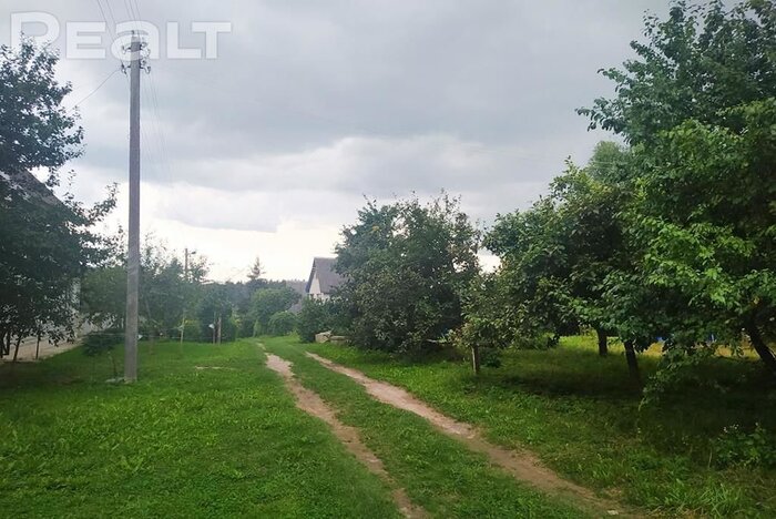550$ за земельный надел в 30 километрах от МКАД. Подборка дешевых участков в СТ вокруг Минска, которые можно купить без аукциона - REALT.BY