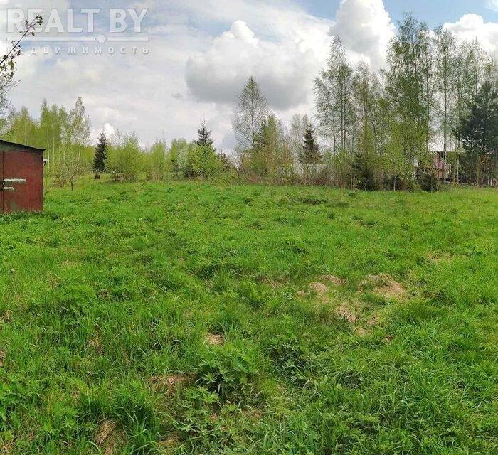 550$ за земельный надел в 30 километрах от МКАД. Подборка дешевых участков в СТ вокруг Минска, которые можно купить без аукциона - REALT.BY