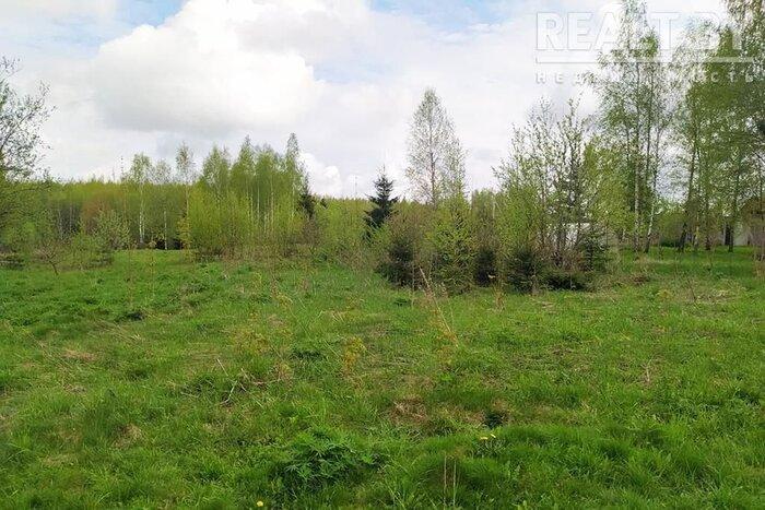 550$ за земельный надел в 30 километрах от МКАД. Подборка дешевых участков в СТ вокруг Минска, которые можно купить без аукциона - REALT.BY