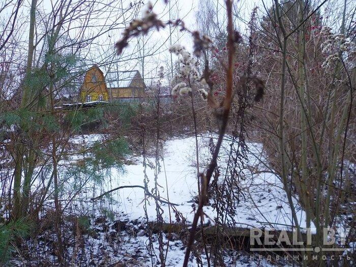550$ за земельный надел в 30 километрах от МКАД. Подборка дешевых участков в СТ вокруг Минска, которые можно купить без аукциона - REALT.BY