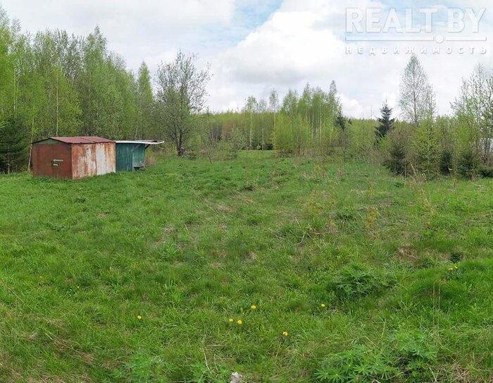 550$ за земельный надел в 30 километрах от МКАД. Подборка дешевых участков в СТ вокруг Минска, которые можно купить без аукциона - REALT.BY