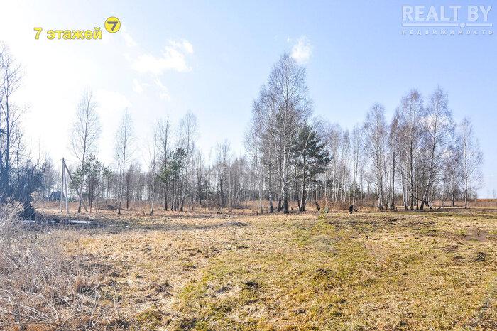 550$ за земельный надел в 30 километрах от МКАД. Подборка дешевых участков в СТ вокруг Минска, которые можно купить без аукциона - REALT.BY
