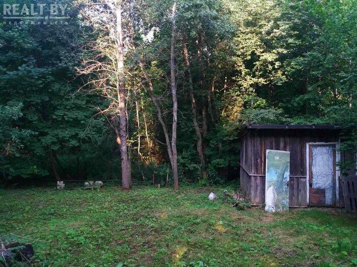 550$ за земельный надел в 30 километрах от МКАД. Подборка дешевых участков в СТ вокруг Минска, которые можно купить без аукциона - REALT.BY
