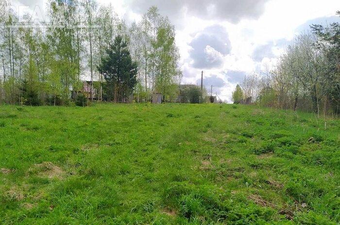 550$ за земельный надел в 30 километрах от МКАД. Подборка дешевых участков в СТ вокруг Минска, которые можно купить без аукциона - REALT.BY