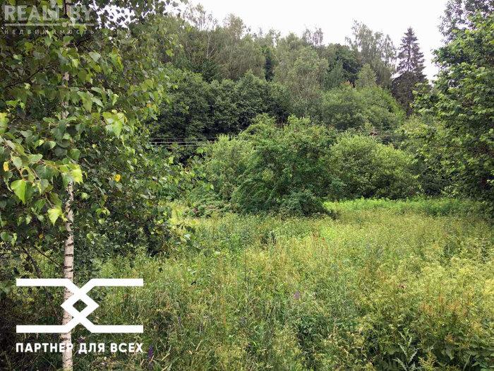 550$ за земельный надел в 30 километрах от МКАД. Подборка дешевых участков в СТ вокруг Минска, которые можно купить без аукциона - REALT.BY