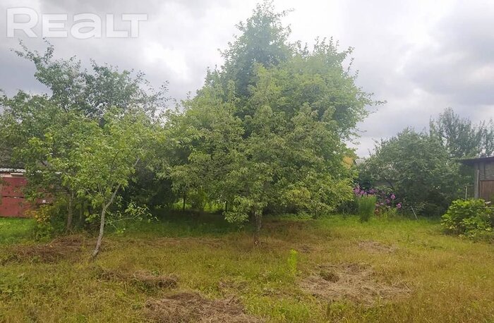 550$ за земельный надел в 30 километрах от МКАД. Подборка дешевых участков в СТ вокруг Минска, которые можно купить без аукциона - REALT.BY