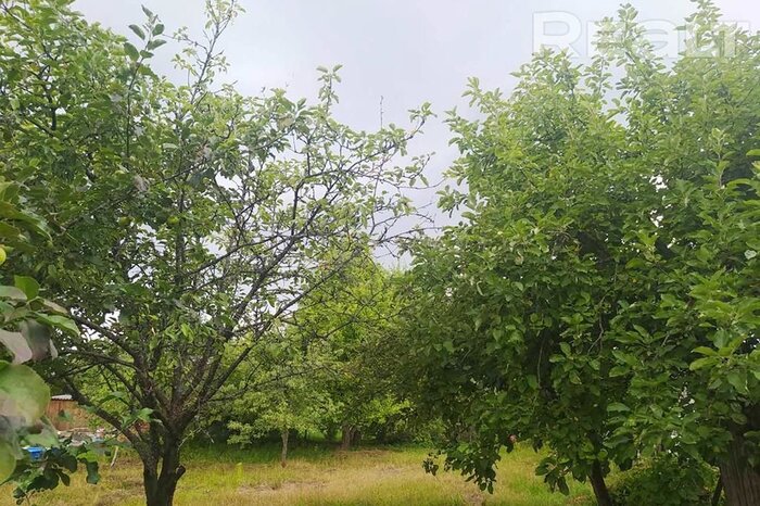 550$ за земельный надел в 30 километрах от МКАД. Подборка дешевых участков в СТ вокруг Минска, которые можно купить без аукциона - REALT.BY