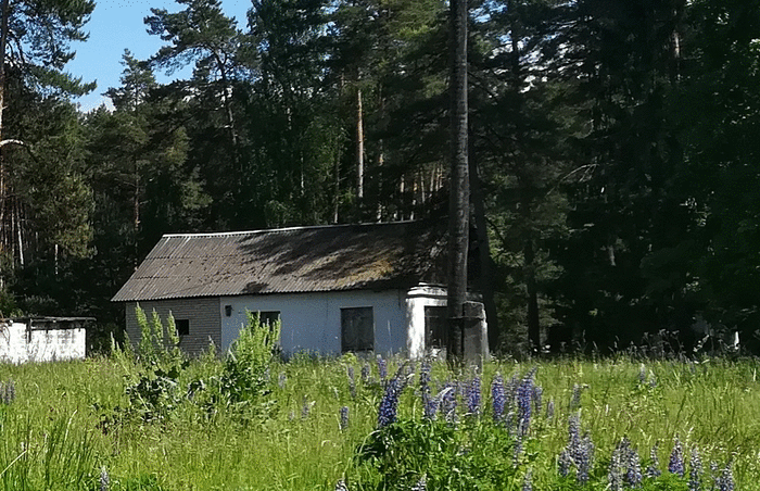 На торги выставили базу отдыха на берегу Днепра. За клуб, медкорпус и еще 10 объектов просят совсем немного