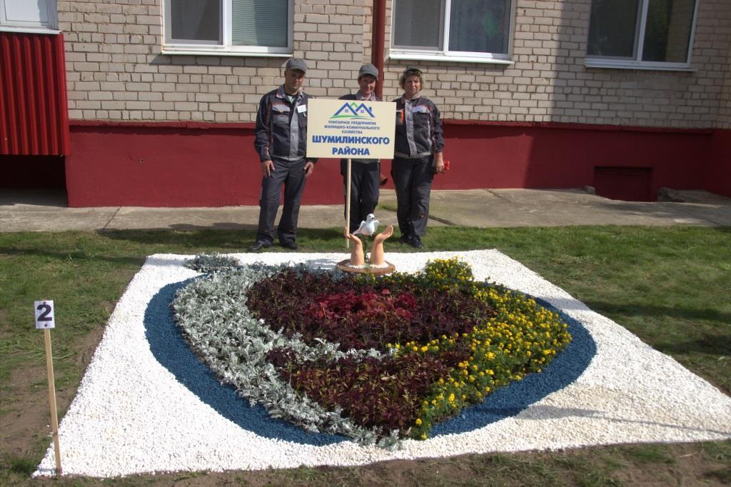В Шумилино прошел областной конкурс профмастерства среди рабочих зеленого строительства2
