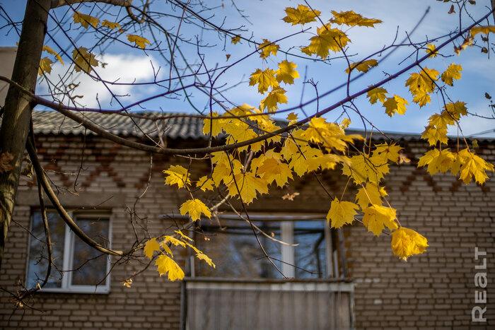 «Сидишь в туалете и боишься, что на тебя стена упадет». Как живут люди в домах под снос прямо у метро «Михалово»