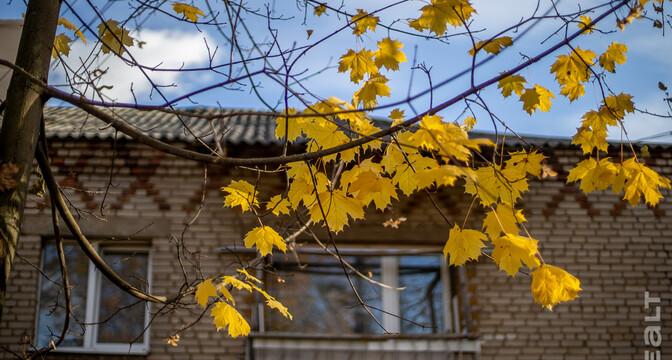 «Сидишь в туалете и боишься, что на тебя стена упадет». Как живут люди в домах под снос прямо у метро «Михалово»