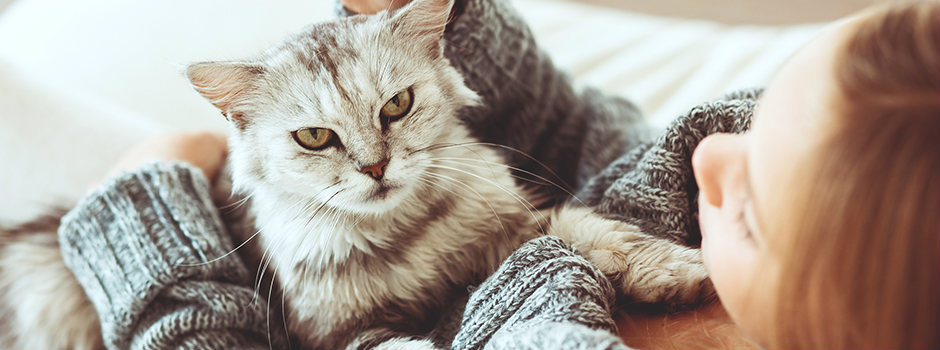 кличка для кота