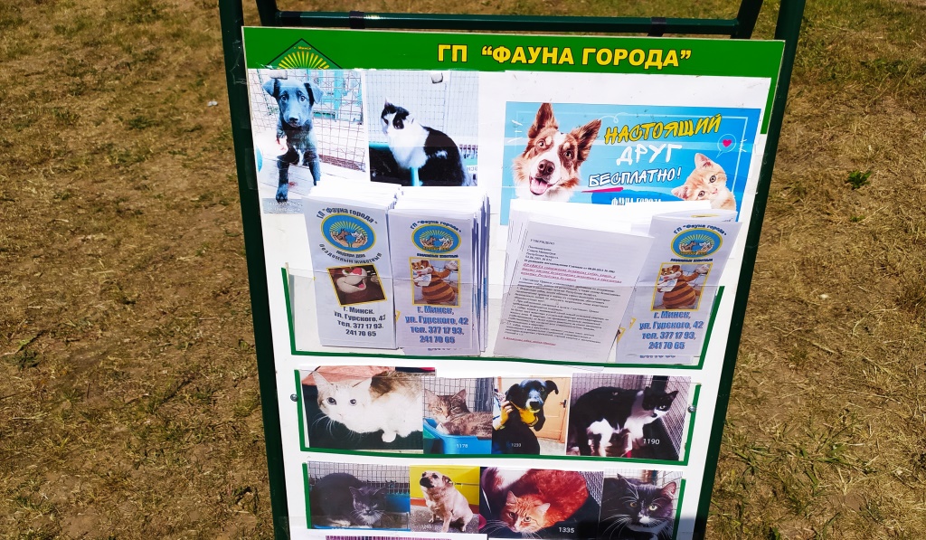 «Лапа дружбы» для всех9