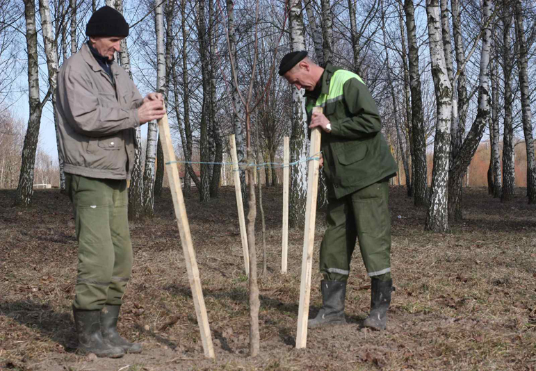 «Зеленстрой» Московского района столицы приступил к весенним работам1