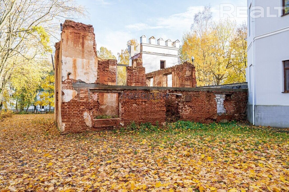 Под Минском продают настоящий дворец. Им&nbsp;когда-то владели Огинские, Монюшко и&nbsp;Ваньковичи
