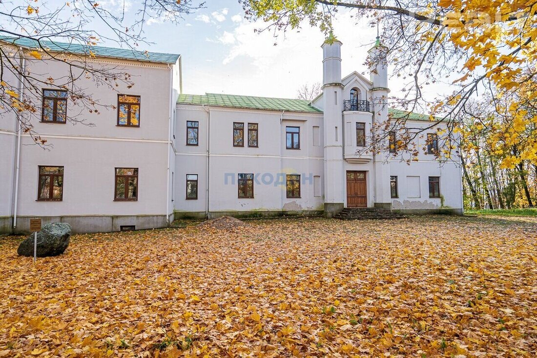 Под Минском продают настоящий дворец. Им&nbsp;когда-то владели Огинские, Монюшко и&nbsp;Ваньковичи