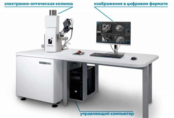 Виды микроскопов и их применение