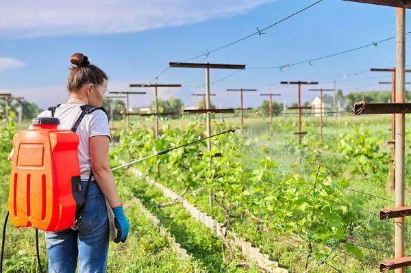 Как правильно заряжать аккумуляторный опрыскиватель