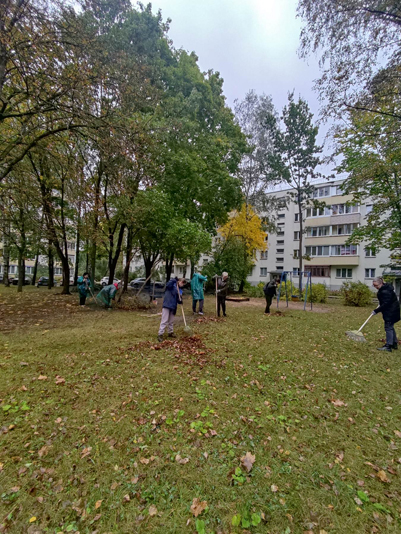 Благоустраиваем дворы вместе3