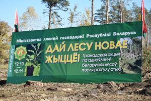 Далі лесу новае жыццё!0