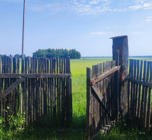 Дома в деревне до 5 тысяч долларов. Смотрим хорошие варианты в часе езды от Минска