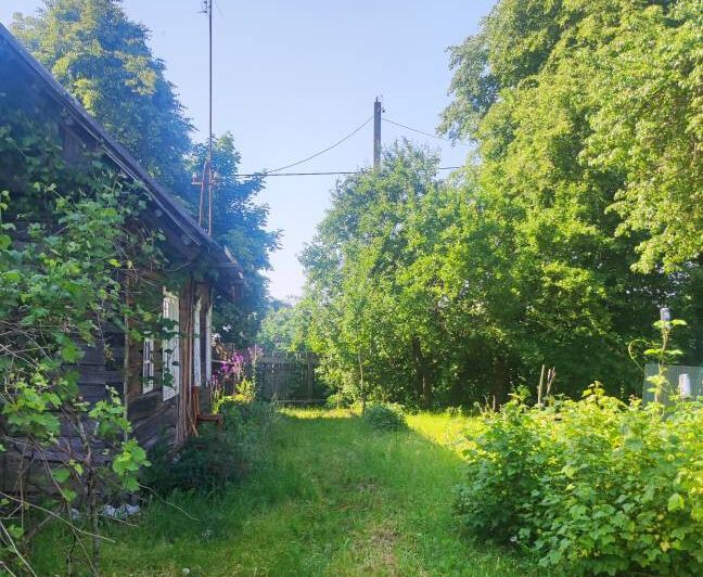 Дома в деревне до 5 тысяч долларов. Смотрим хорошие варианты в часе езды от Минска