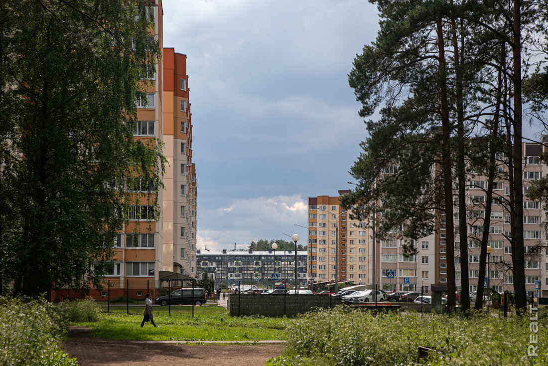 «Косули ходят практически у подъезда». Как живется в многоэтажках в поселке Лесном под Минском