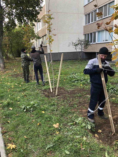 Навели уют5