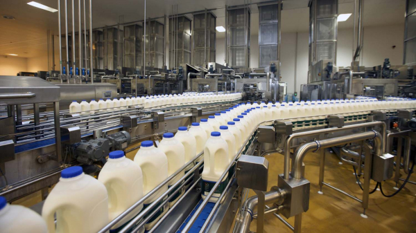 Оборудование для пищевых и молочных производств: основа качественного продукта Оборудование для пищевых и молочных производств: основа качественного продукта
