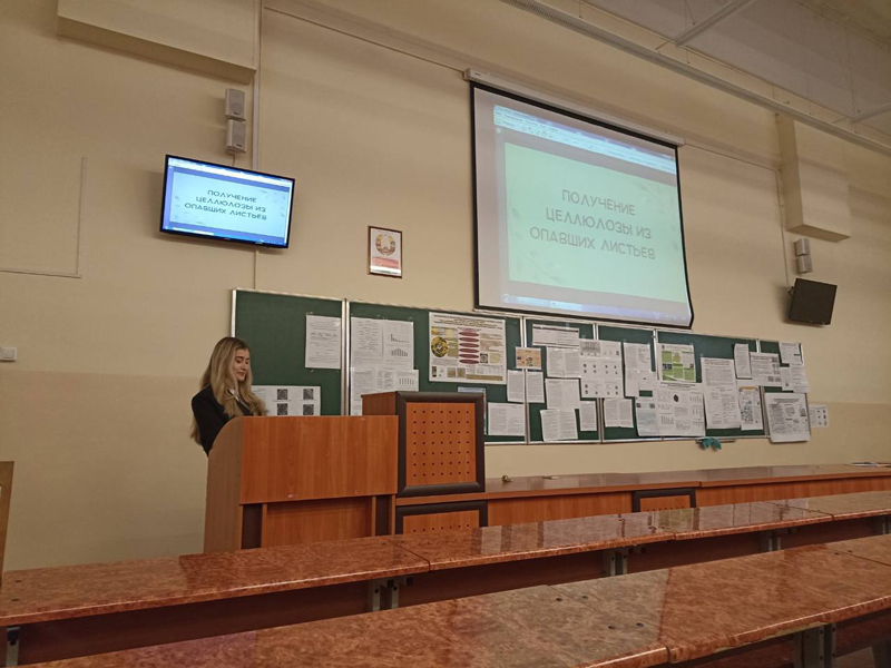 Автор проекта Елизавета Королева