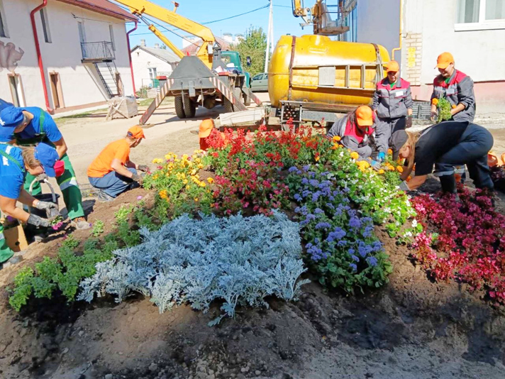 В Бешенковичах прошел областной конкурс «Кветкi Вiцебшчыны — 2024»6