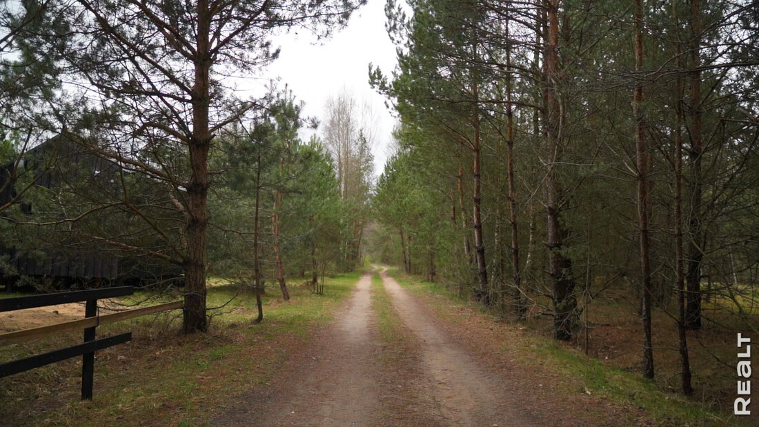 &laquo;Живем в&nbsp;большом лесу&raquo;. Как супруги променяли квартиру в&nbsp;центре Минска на&nbsp;хату в&nbsp;глуши